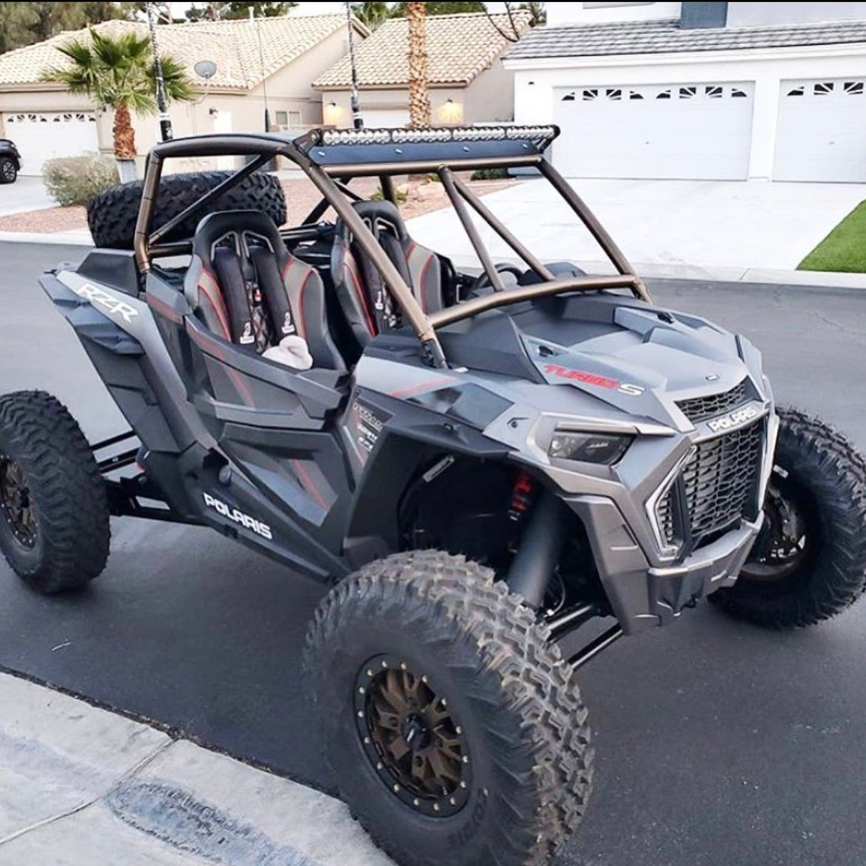 Carbon Edition Daytona Seats (With Harnesses)
