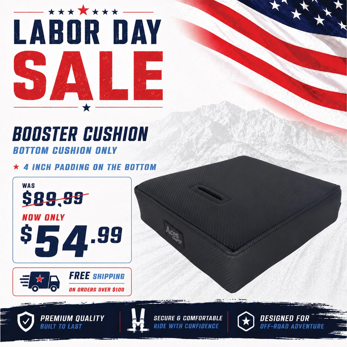 Booster Cushion