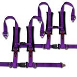 (Pair) 4 Point Harness - Ez- Buckle