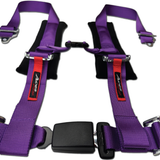 4 Point Harness With Ez-Buckle