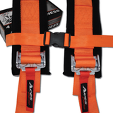 4 Point Harness With Ez-Buckle