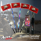 (Bluetooth) Deluxe Lighted Whips