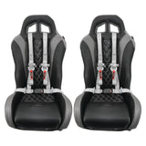 4 Point Harness With Ez-Buckle