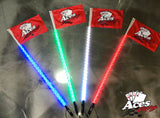200 Combination Deluxe Lighted Whips