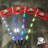 400 Combination Deluxe Lighted Whips