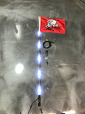 400 Combination Deluxe Lighted Whips