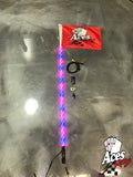 400 Combination Deluxe Lighted Whips