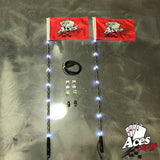 400 Combination Deluxe Lighted Whips