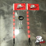 400 Combination Deluxe Lighted Whips