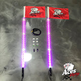 400 Combination Deluxe Lighted Whips