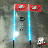 200 Combination Deluxe Lighted Whips