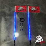 200 Combination Deluxe Lighted Whips