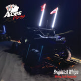 200 Combination Deluxe Lighted Whips